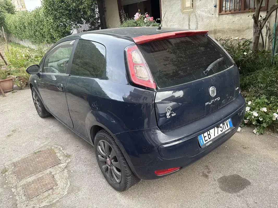 Usata Fiat Punto Evo Active 75 CV (55 kW) 2010 Utilitaria