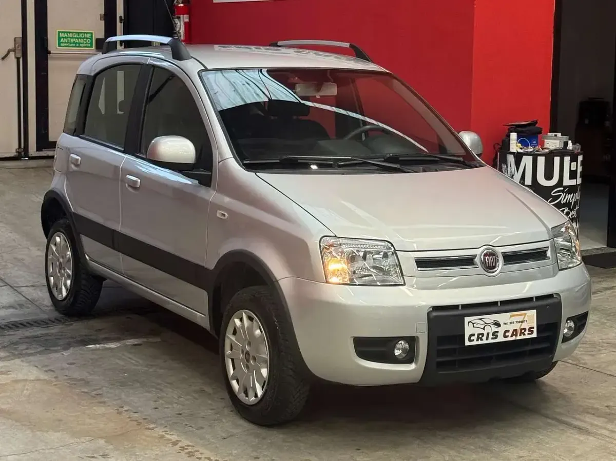 Usata Fiat Panda 4x4 Climbing 69 CV (50 kW) 2012 Grigio Utilitaria