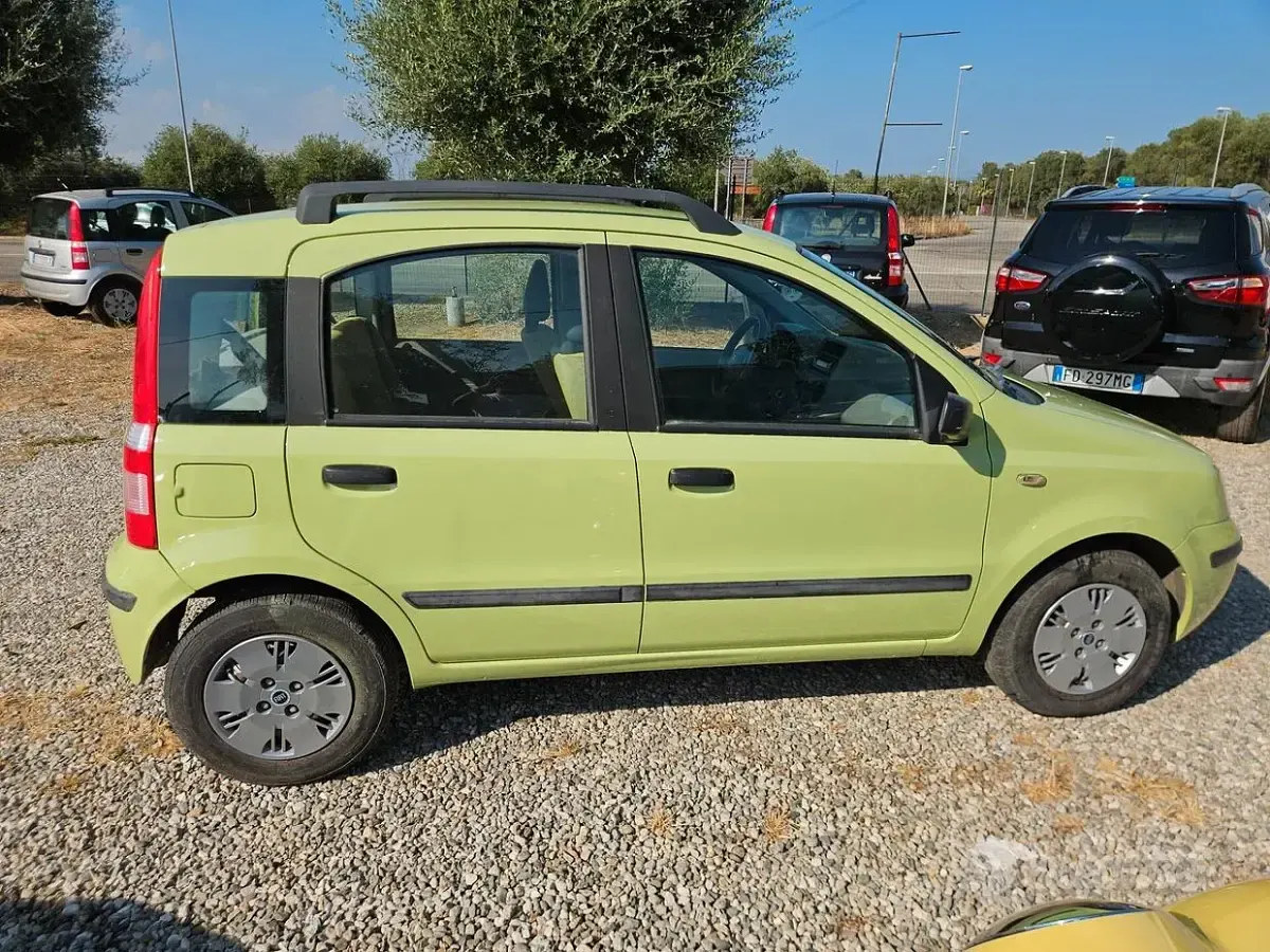 Usata Fiat Panda Dynamic 60 CV (44 kW) 2005 Verde Utilitaria