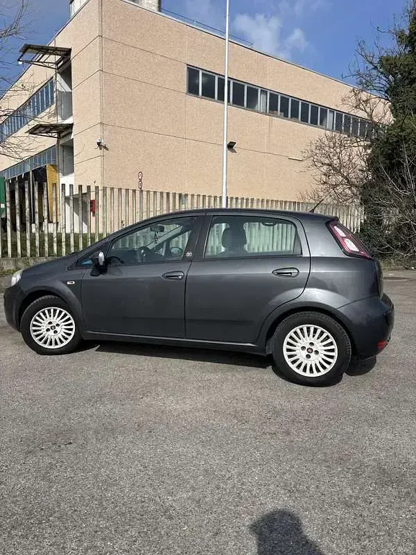 Usata Fiat Punto Evo S 69 CV (50 kW) 2011 Utilitaria