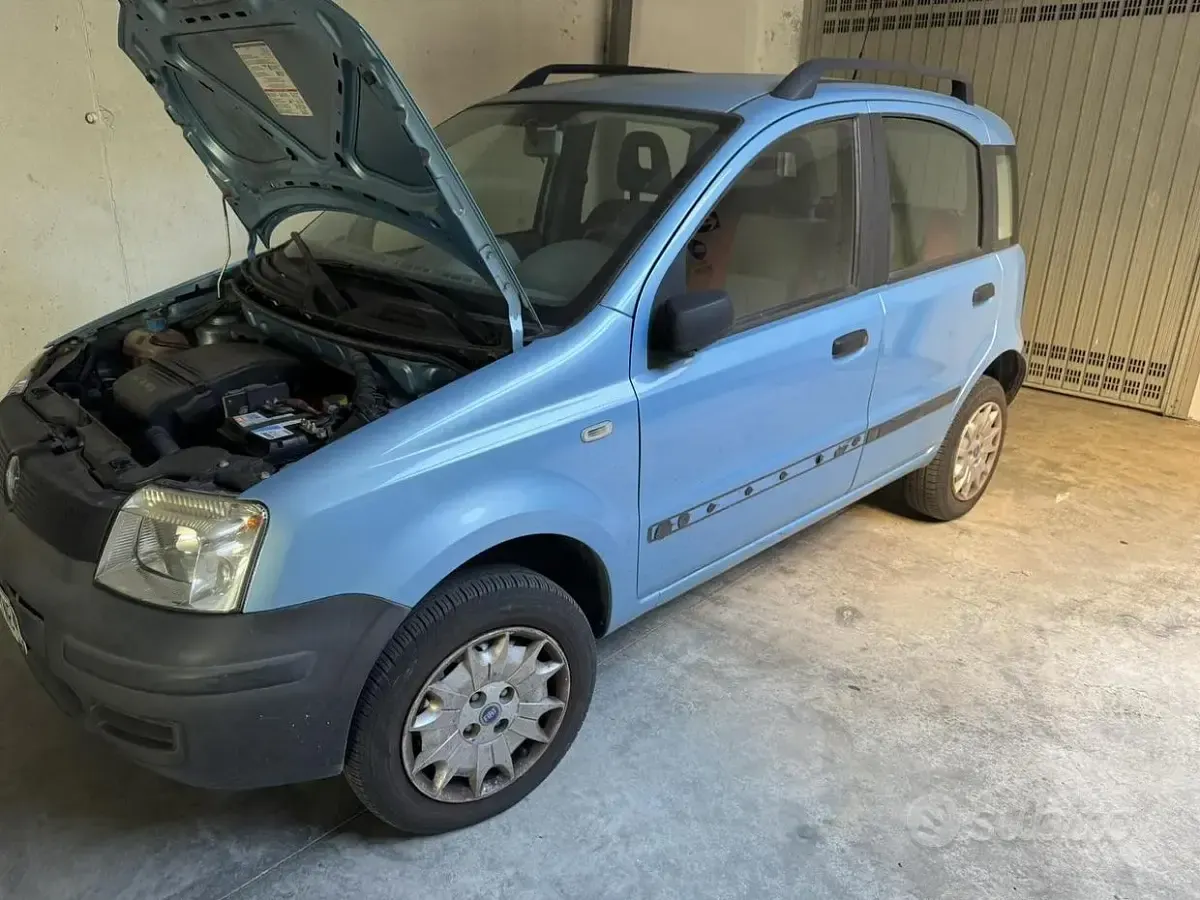 Usata Fiat Panda 4x4 60 CV (44 kW) 2006 Bluazzurro Utilitaria