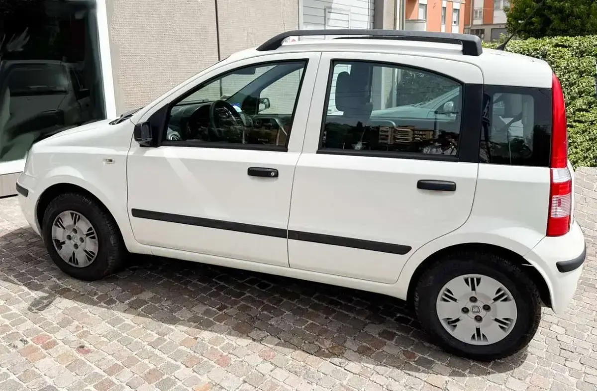 Usata Fiat Panda Dynamic 60 CV (44 kW) 2008 Bianco Utilitaria
