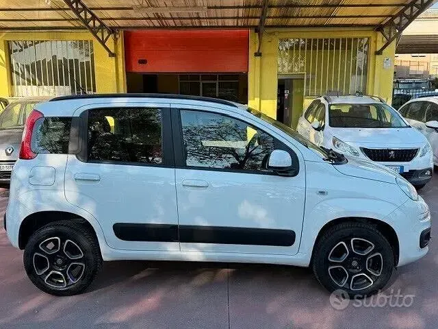 Usata Fiat Panda Lounge 80 CV (58 kW) 2015 Bianco Utilitaria