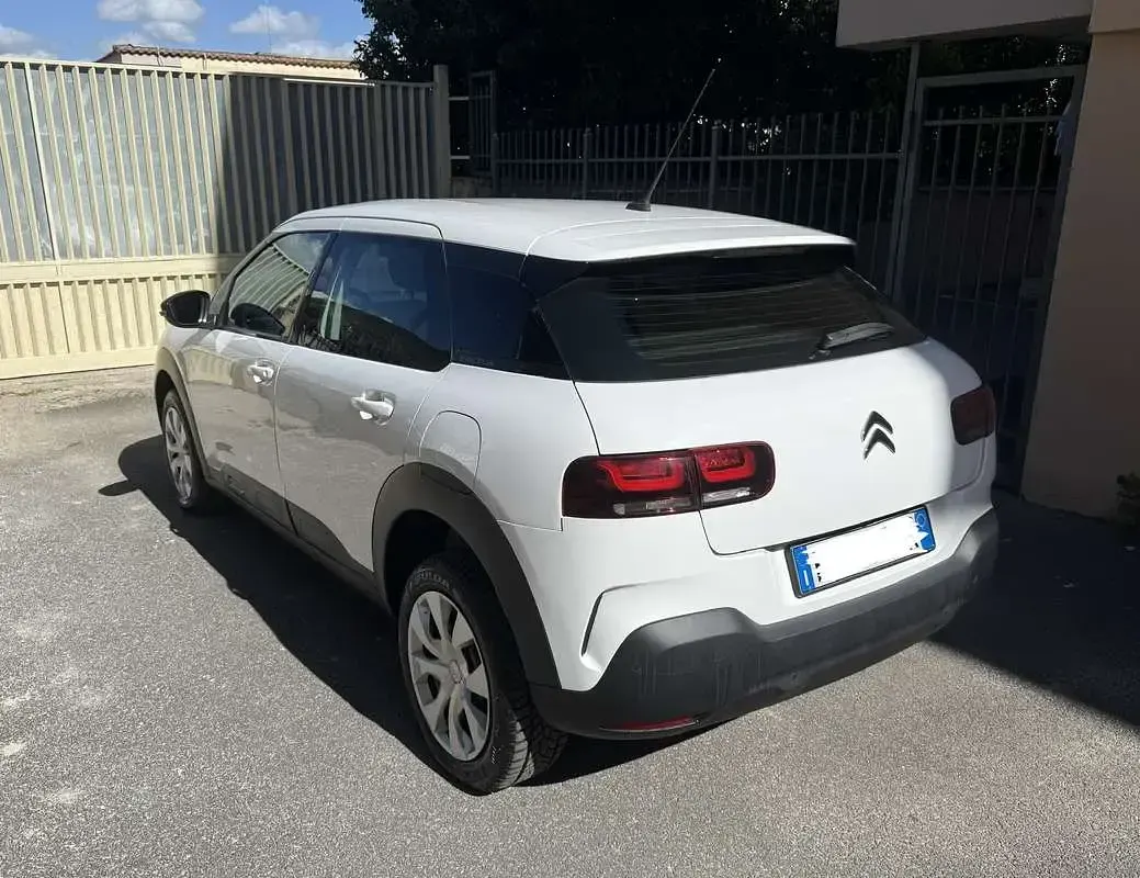 Usata Citroën C4 Shine 120 CV (88 kW) 2020 Bianco SUV