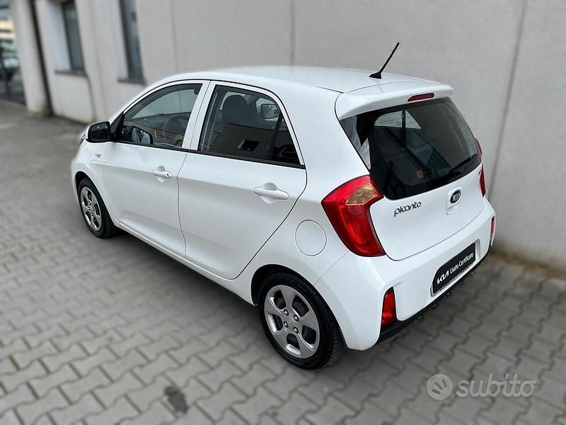 Usata Kia Picanto 67 CV (49 kW) 2016 Bianco Utilitaria