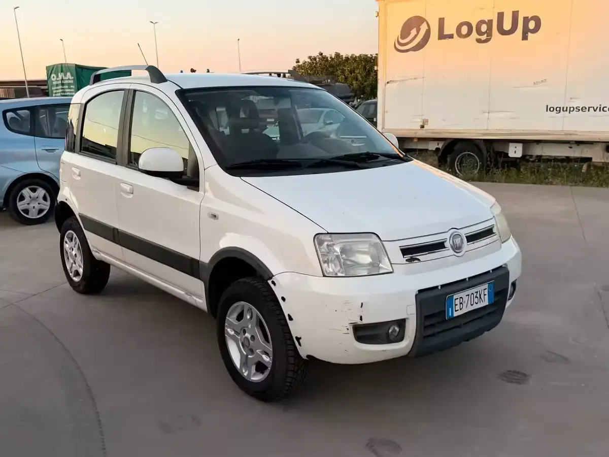Usata Fiat Panda 4x4 Climbing 75 CV (55 kW) 2011 Bianco Utilitaria