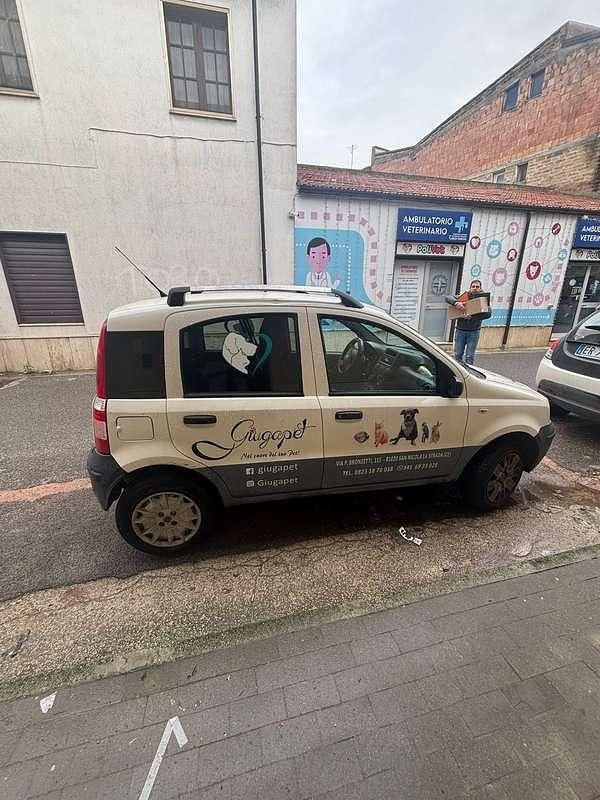 Usata Fiat Panda 60 CV (44 kW) 2008 Utilitaria