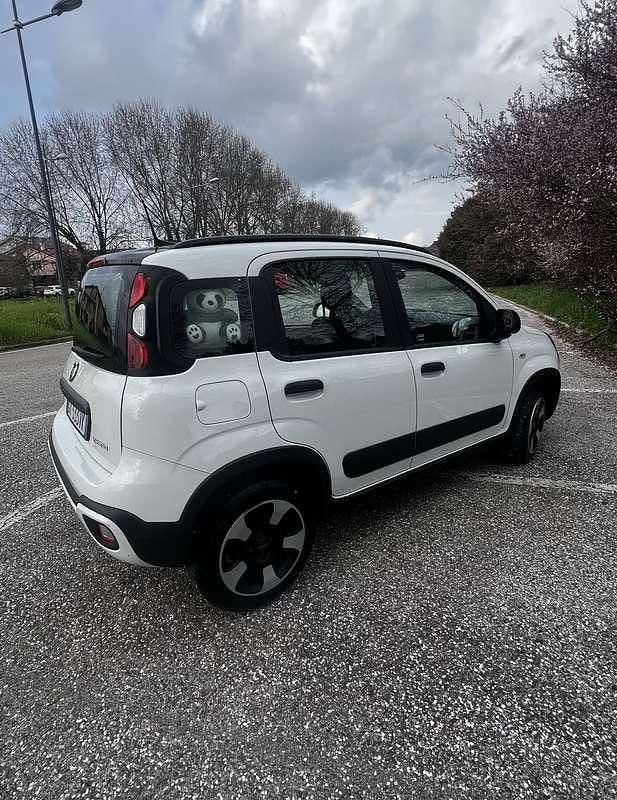 Usata Fiat Panda Cross Cross 69 CV (50 kW) 2022 Utilitaria
