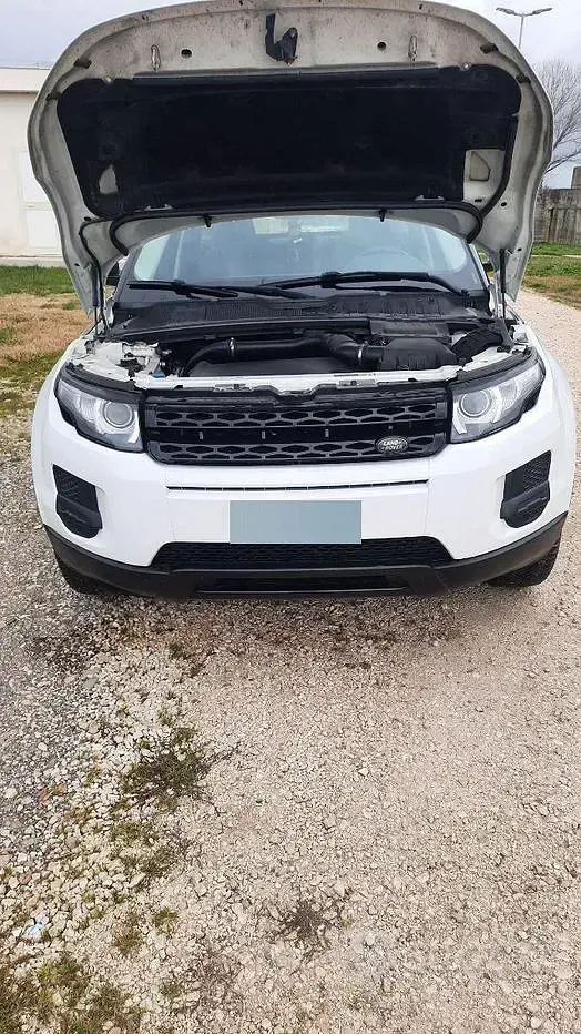 Usata Land Rover Range Rover evoque 150 CV (110 kW) 2015 Bianco Station wagon