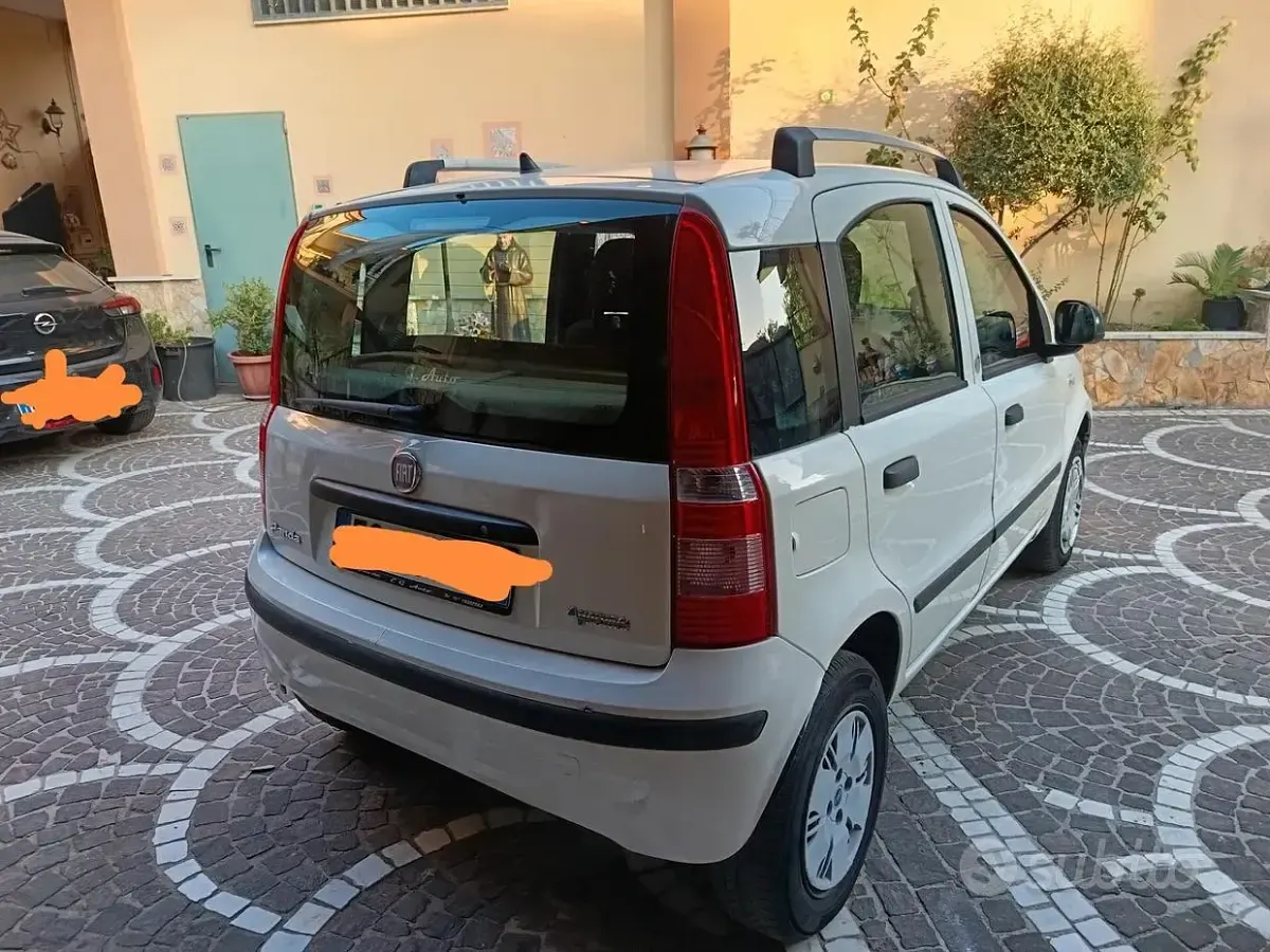 Usata Fiat Panda Dynamic 69 CV (50 kW) 2011 Bianco Utilitaria