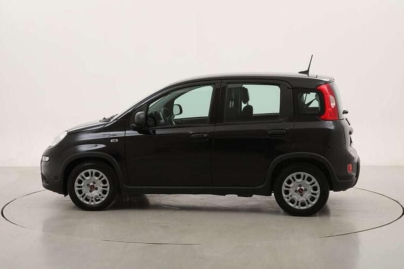 Usata Fiat Panda 71 CV (52 kW) 2023 Nero Utilitaria