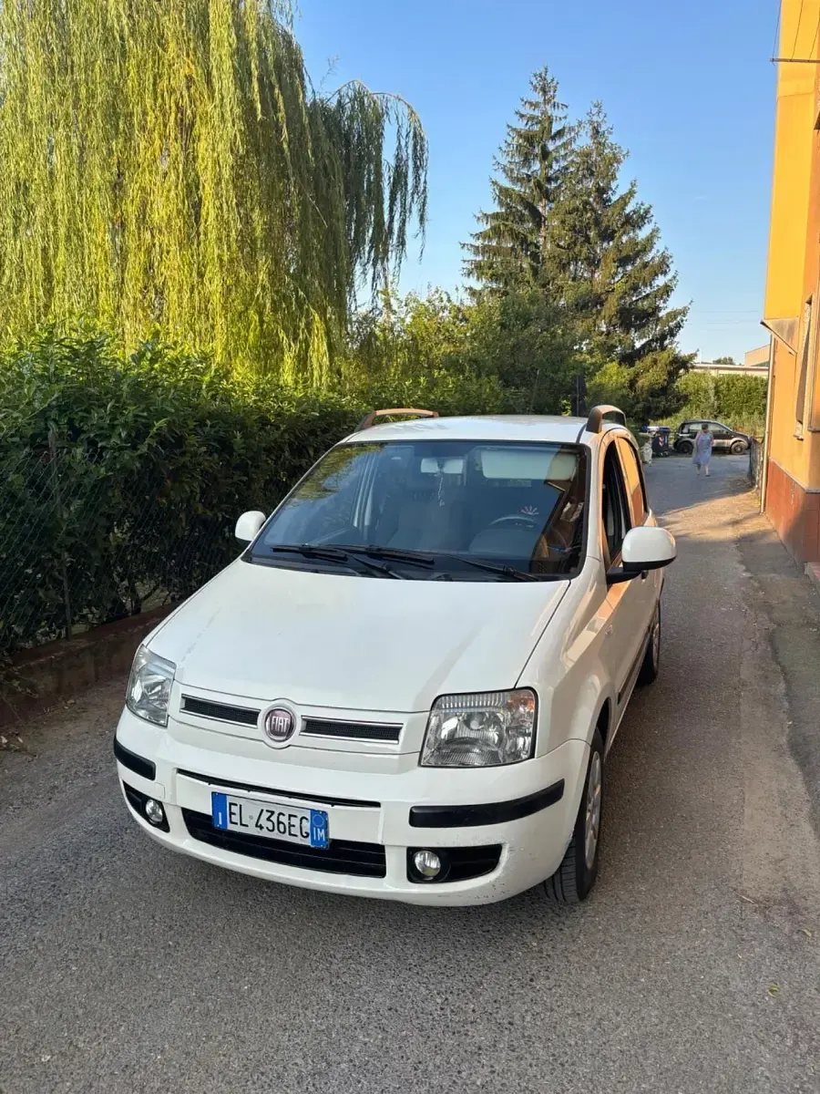Usata Fiat Panda Dynamic 75 CV (55 kW) 2011 Bianco Utilitaria