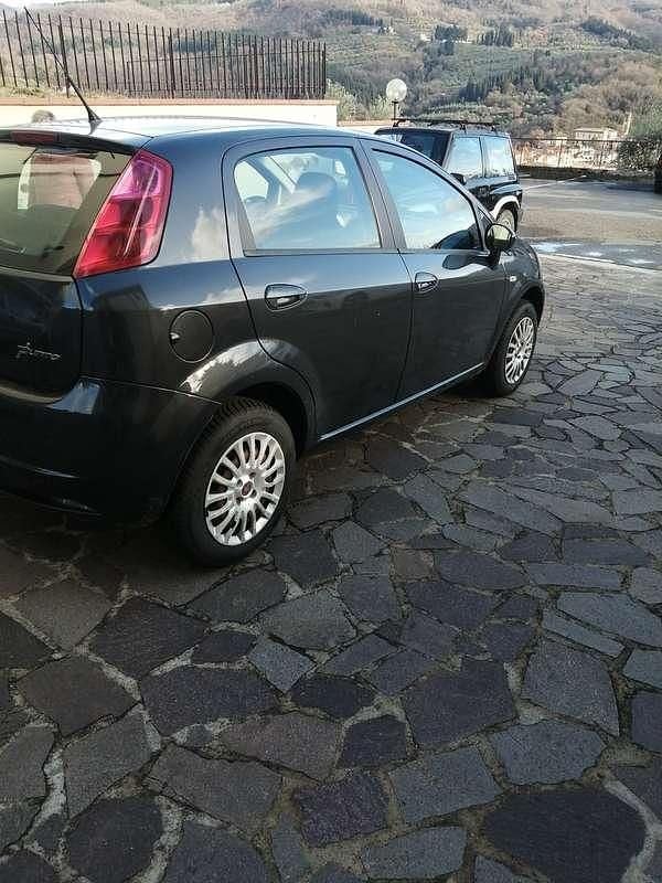 Usata Fiat Punto Active 60 CV (44 kW) 2009 Utilitaria