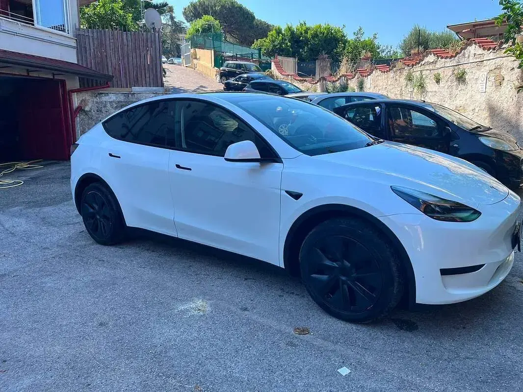 Usata Tesla Model Y RWD 88 kW (120 CV) 2024 Bianco SUV