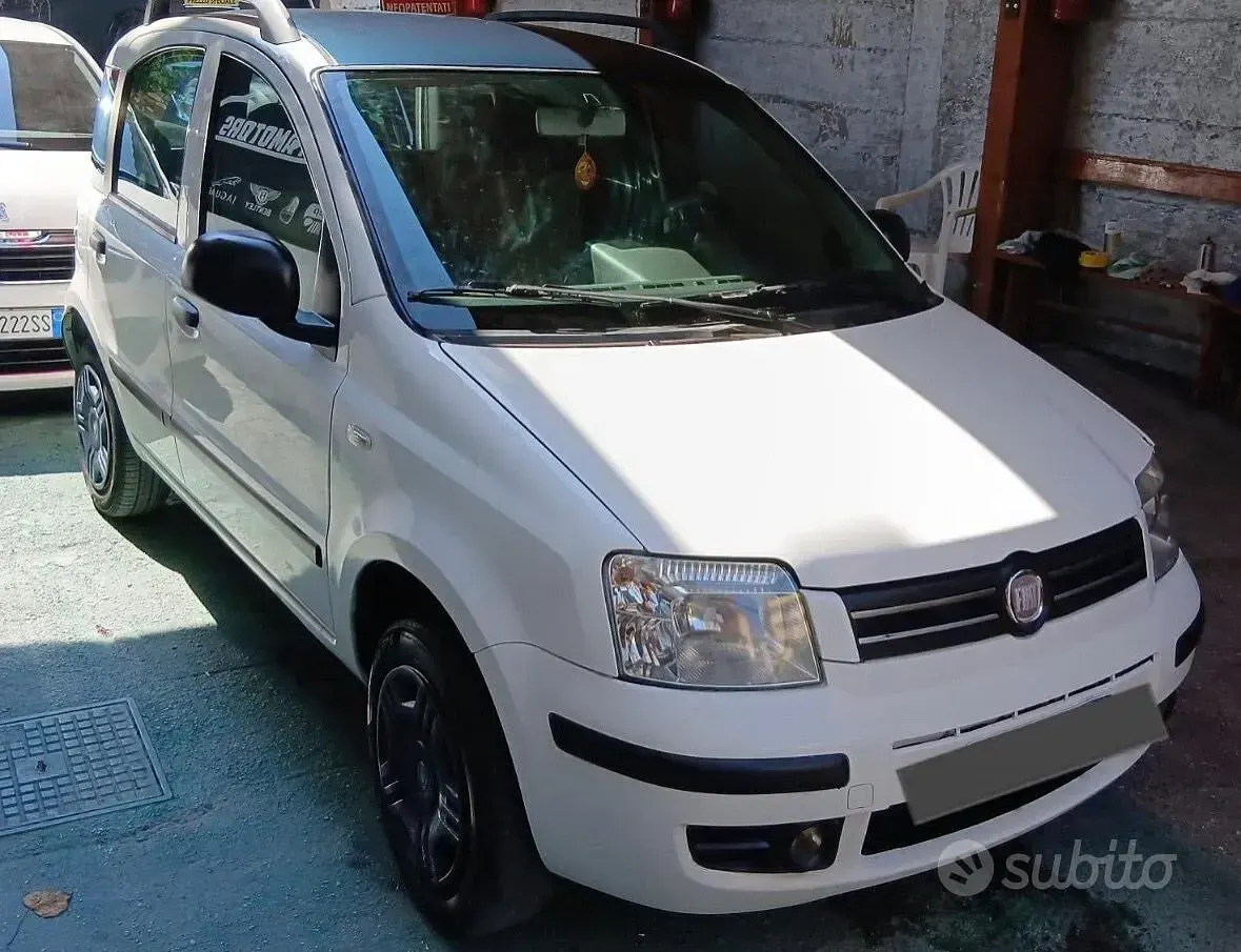 Usata Fiat Panda 60 CV (44 kW) 2009 Utilitaria