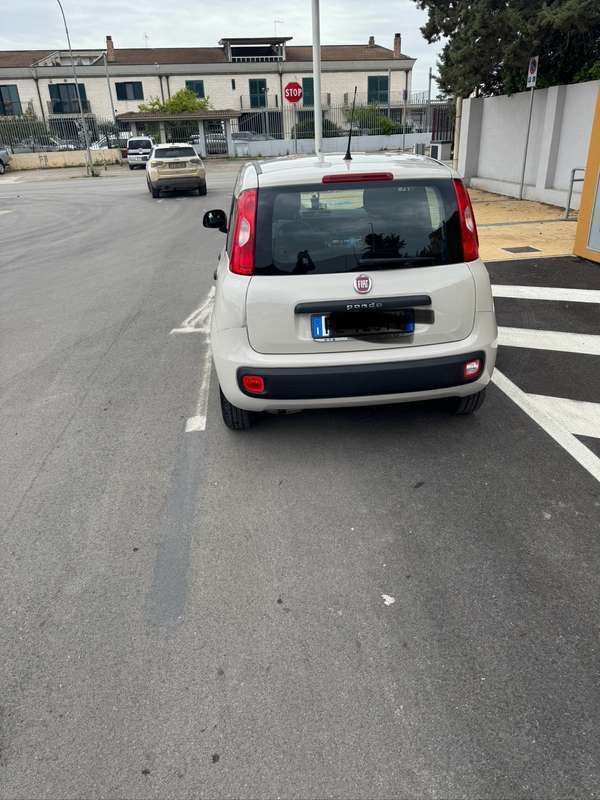 Usata Fiat Panda Easy 95 CV (69 kW) 2016 Bianco Utilitaria