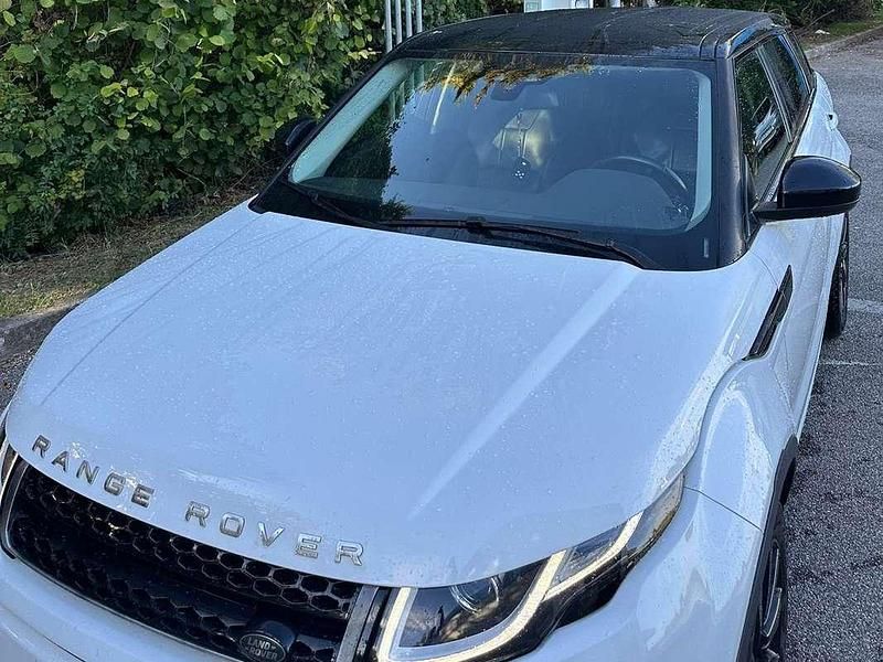 Usata Land Rover Range Rover evoque 150 CV (110 kW) 2018 Bianco SUV