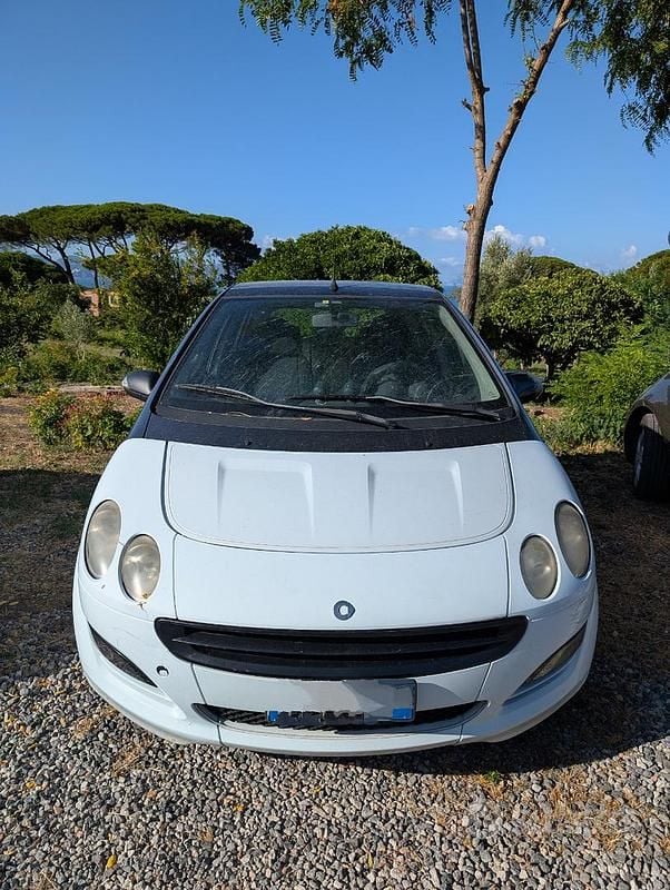 Usata Smart ForFour 95 CV (69 kW) 2005 Bianco Utilitaria