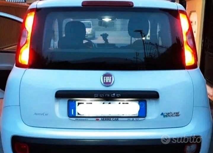Usata Fiat Panda 85 CV (62 kW) 2014 Bianco Utilitaria
