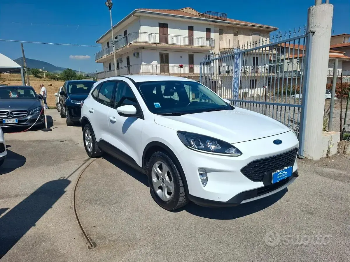 Usata Ford Kuga 120 CV (88 kW) 2022 Bianco SUV