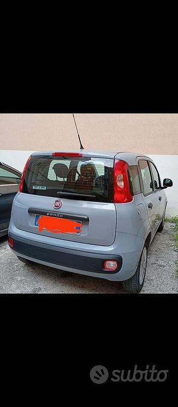 Usata Fiat Panda 69 CV (50 kW) 2019 Grigio Utilitaria