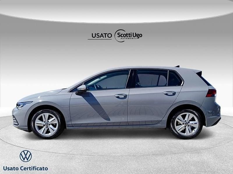 Usata VW Golf VIII Life 116 CV (85 kW) 2023 Grigio Utilitaria
