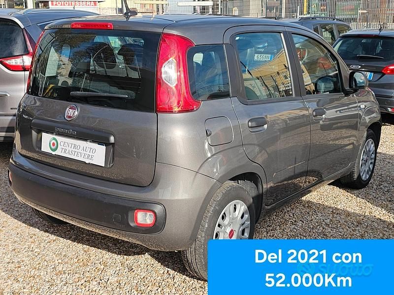 Usata Fiat Panda Easy 69 CV (50 kW) 2021 Grigio Berlina