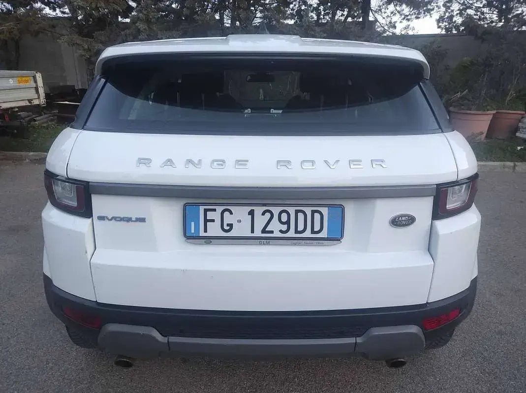 Usata Land Rover Range Rover evoque Pure 150 CV (110 kW) 2016 Bianco SUV