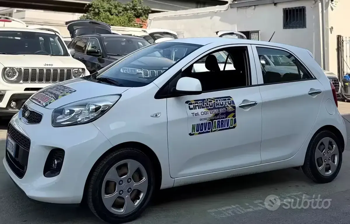 Usata Kia Picanto 67 CV (49 kW) 2016 Bianco Utilitaria