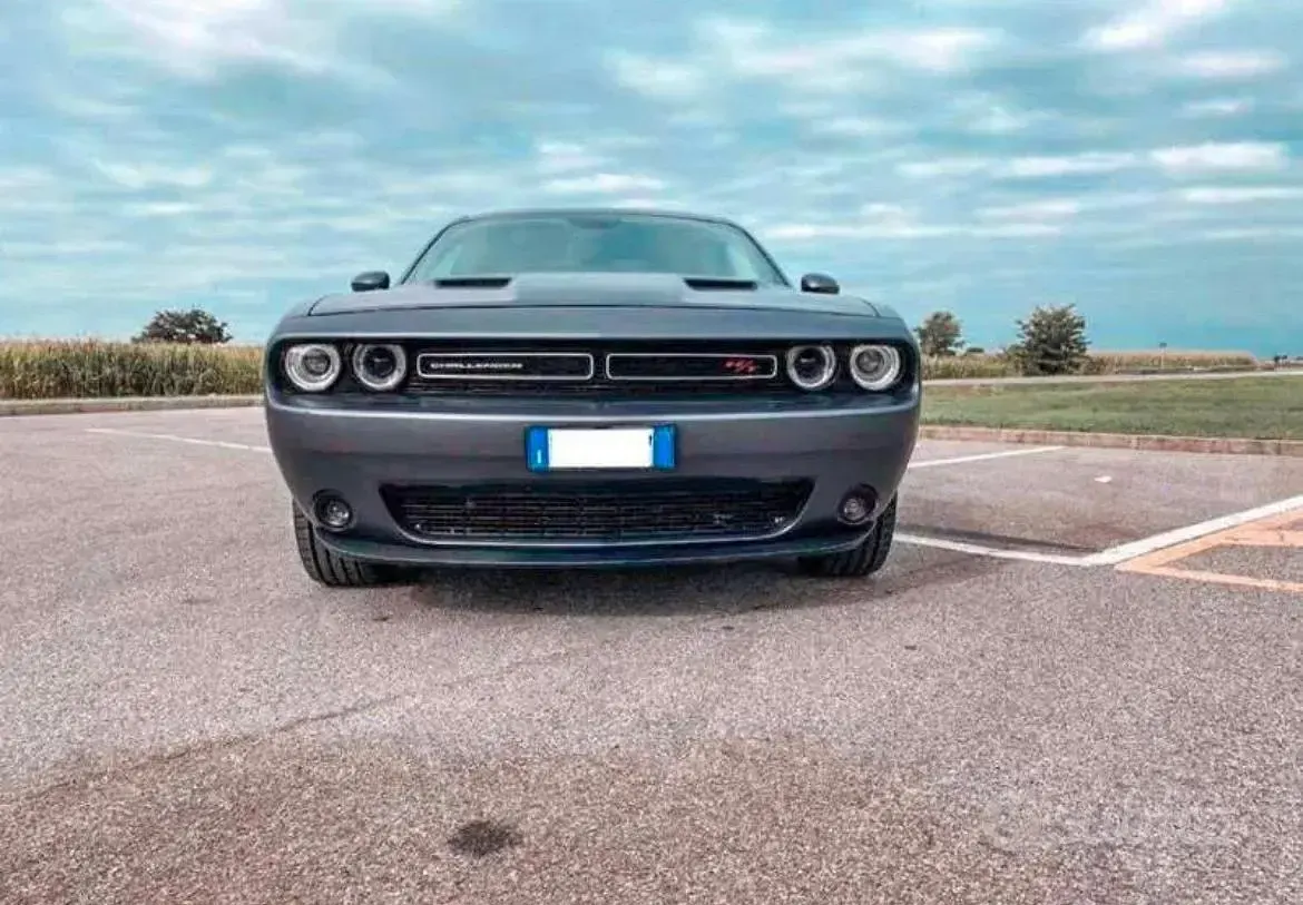 Usata Dodge Challenger 2015 Coupé