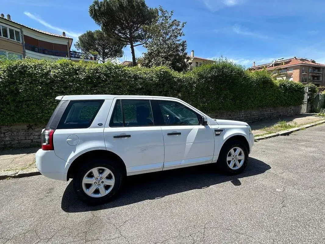 Usata Land Rover Freelander 2 SE 190 CV (139 kW) 2012 Bianco SUV