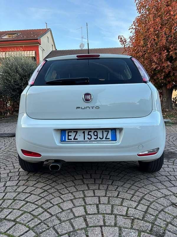 Usata Fiat Punto Evo Emotion 77 CV (56 kW) 2015 Utilitaria