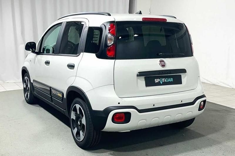 Usata Fiat Panda S 70 CV (51 kW) 2024 Gelato Utilitaria