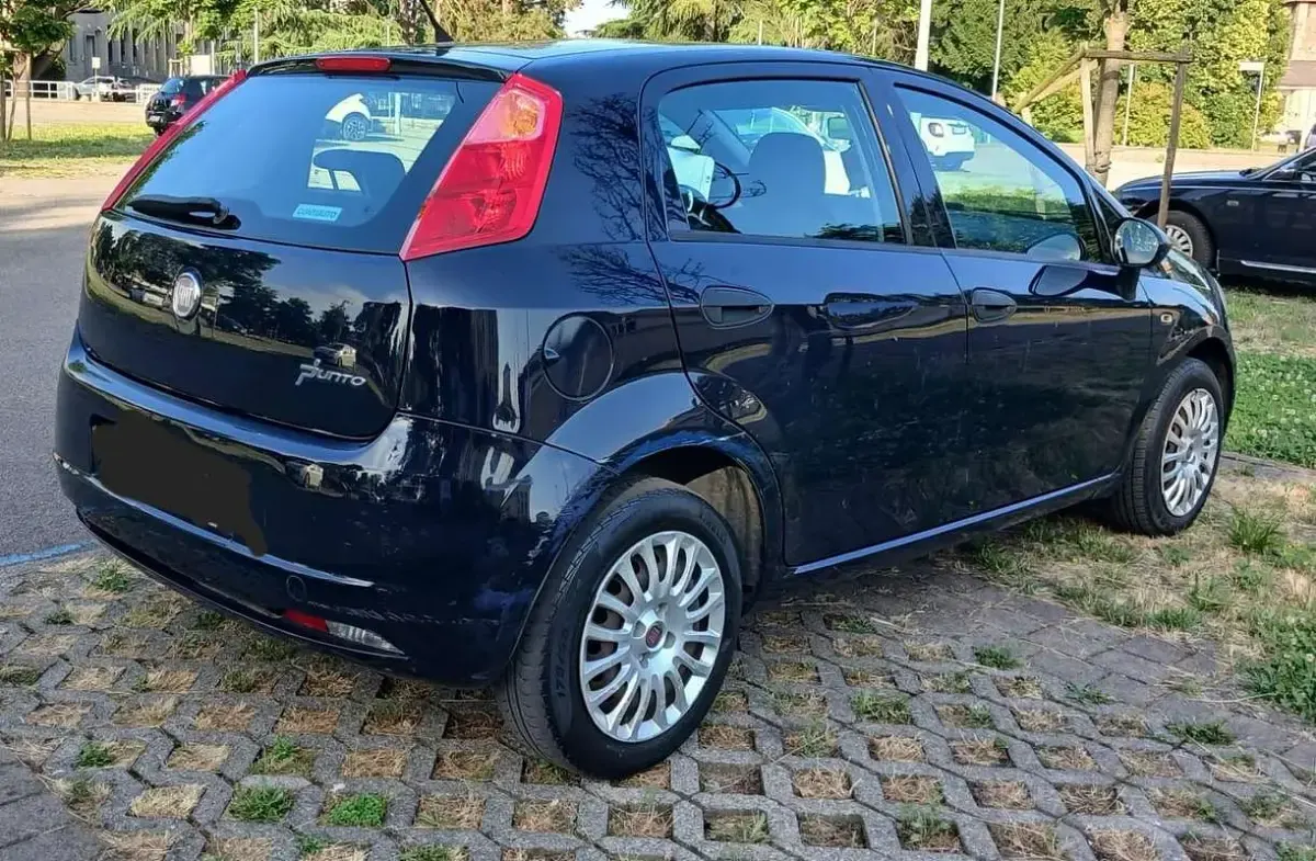 Usata Fiat Punto Evo Dynamic 69 CV (50 kW) 2012 Utilitaria