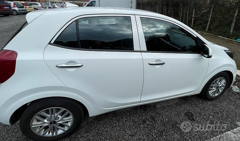 Usata Kia Picanto 2020 Bianco Utilitaria