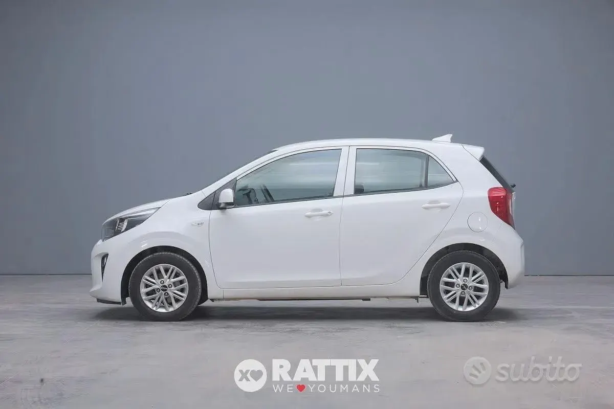 Usata Kia Picanto Urban 67 CV (49 kW) 2024 Bianco Utilitaria