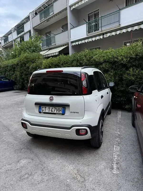 Usata Fiat Panda Cross Cross 71 CV (52 kW) 2024 Utilitaria