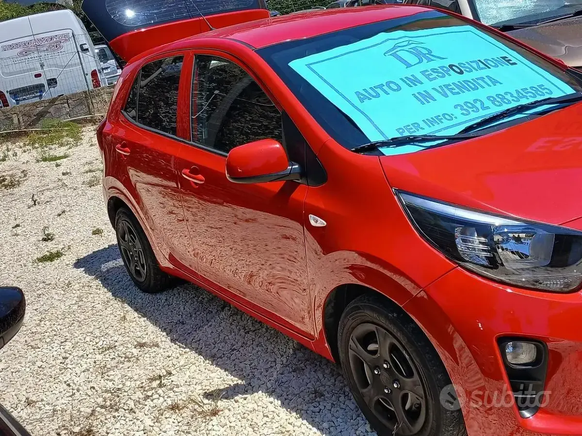 Usata Kia Picanto 61 CV (44 kW) 2019 Rosso Utilitaria
