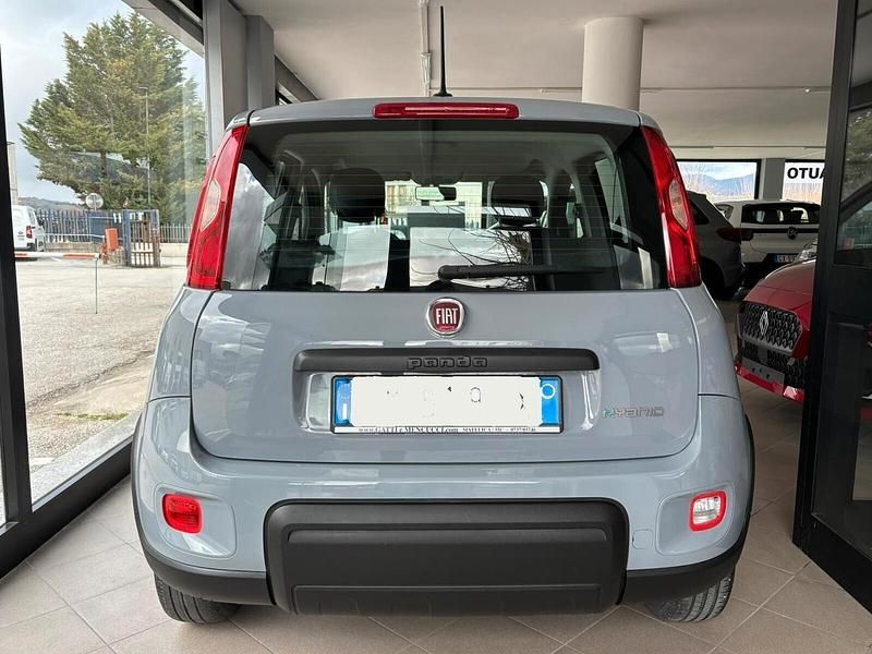 Usata Fiat Panda City Life 70 CV (51 kW) 2023 Grigio Utilitaria
