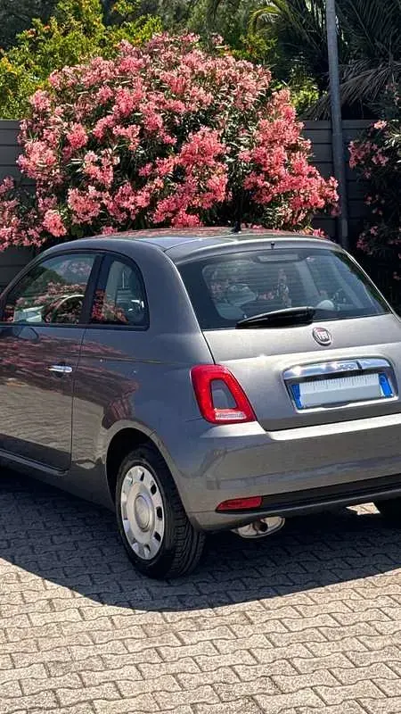 Usata Fiat 500 Pop 69 CV (50 kW) 2018 Utilitaria