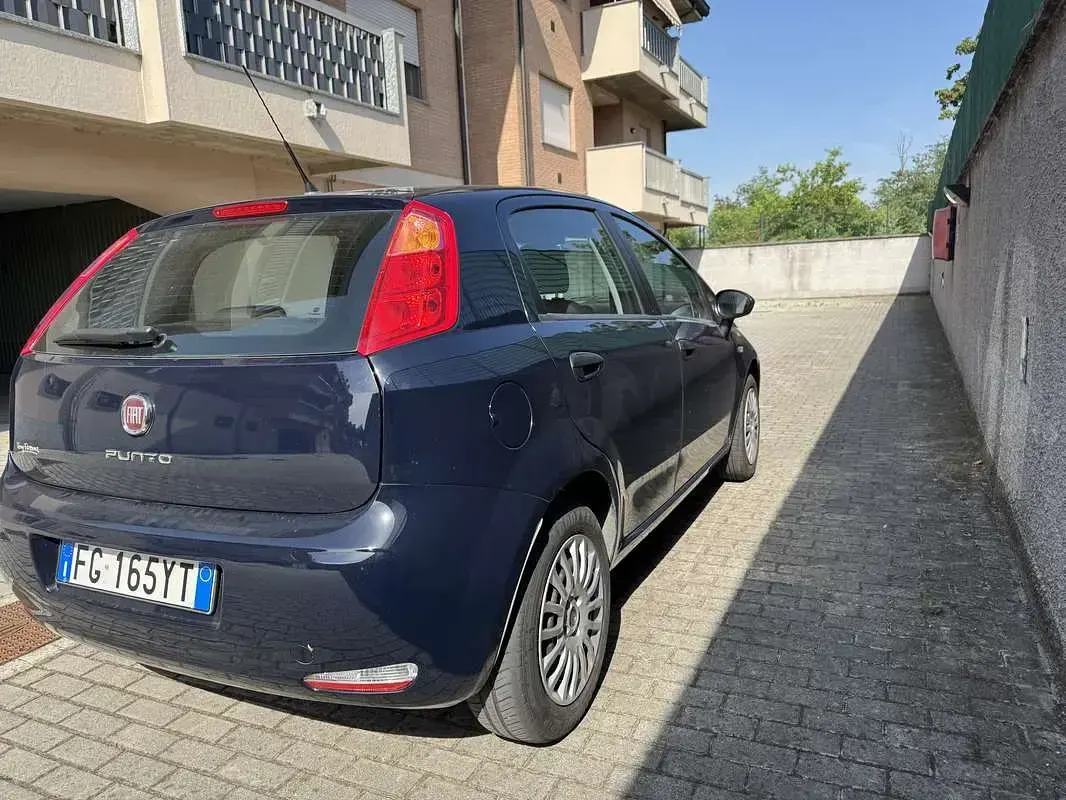 Usata Fiat Punto Lounge 69 CV (50 kW) 2017 Utilitaria