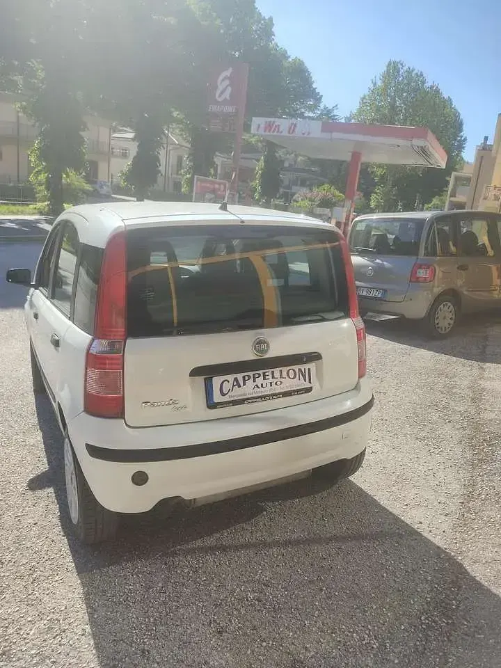 Usado Fiat Panda 4x4 60 CV (44 kW) 2005 Other Utilitario