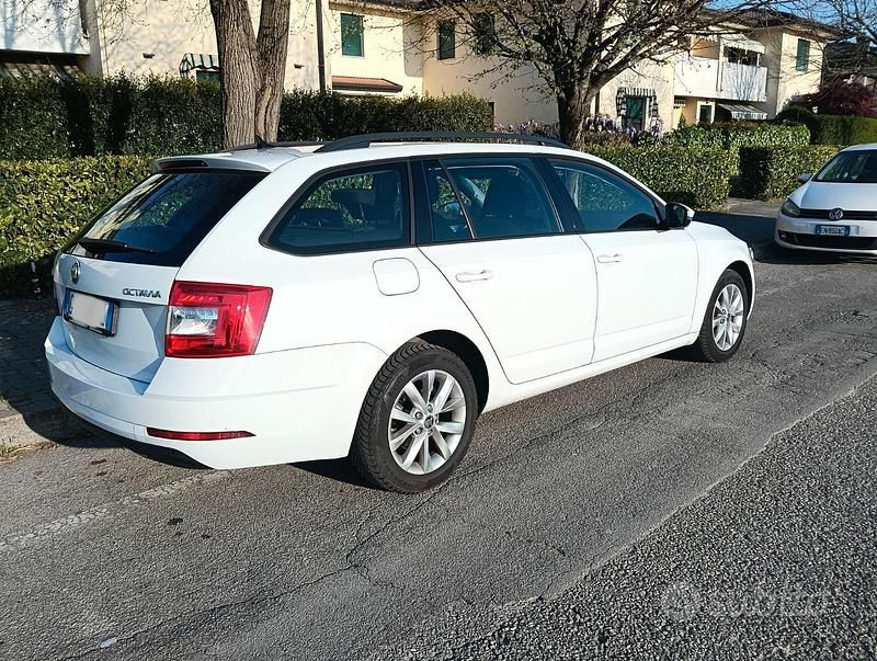 Usata Skoda Octavia 116 CV (85 kW) 2020 Bianco Station wagon