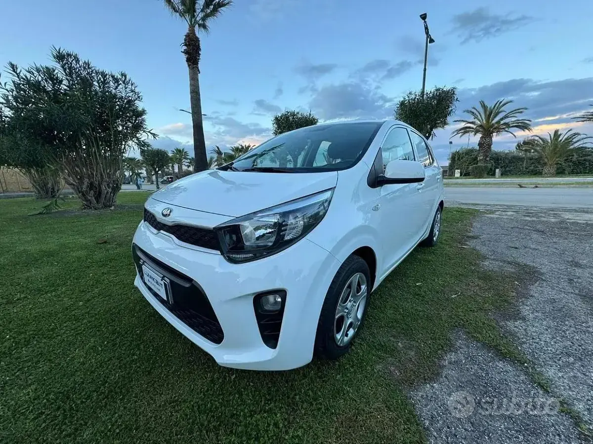 Usata Kia Picanto Active 67 CV (49 kW) 2019 Utilitaria