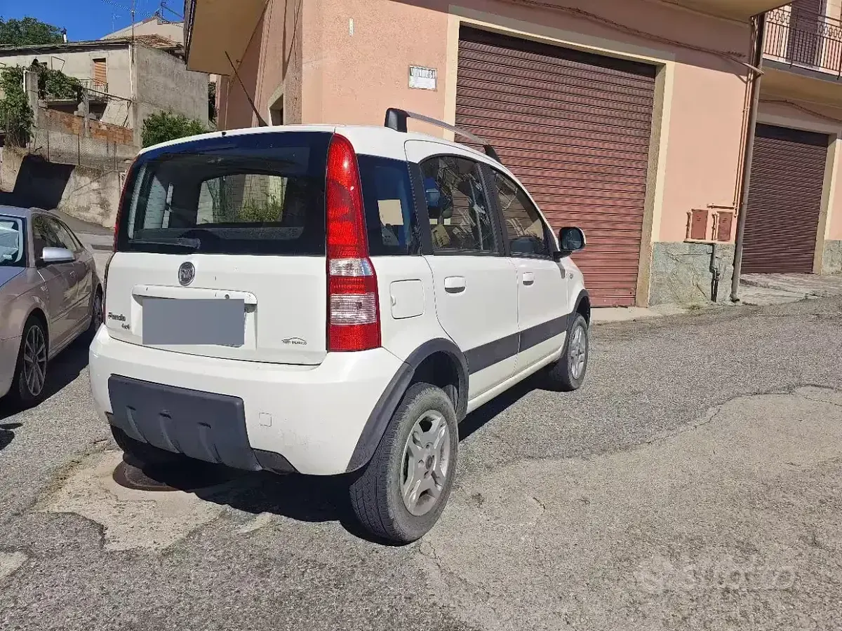 Usata Fiat Panda 4x4 75 CV (55 kW) 2012 Bianco Utilitaria