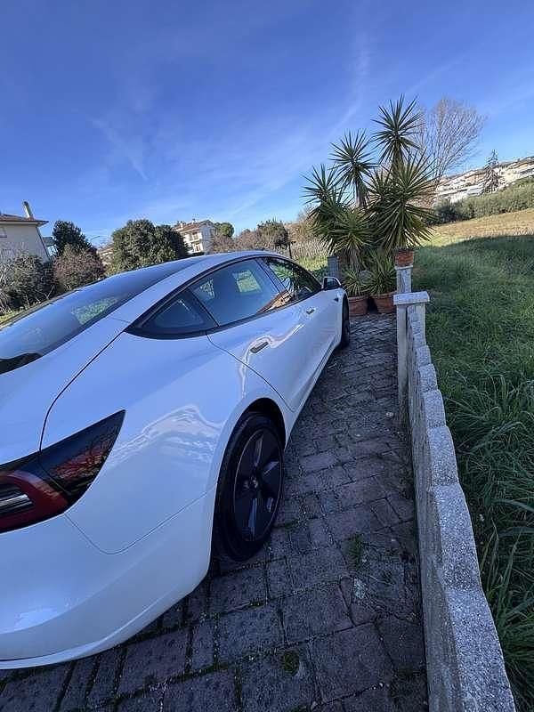 Usata Tesla Model 3 RWD 88 kW (120 CV) 2023 Bianco Berlina