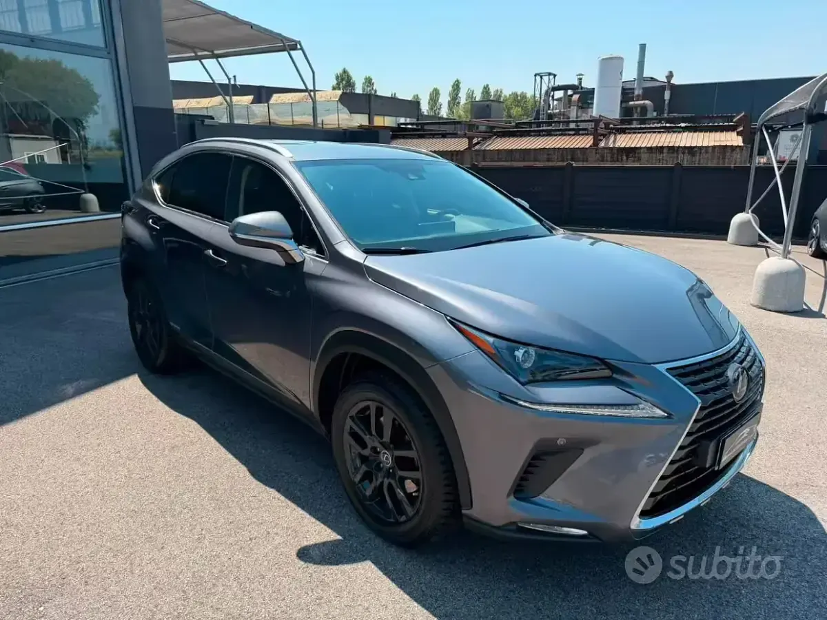 Usata Lexus NX300h Executive Line 197 CV (144 kW) 2019 Grigio antracite met SUV