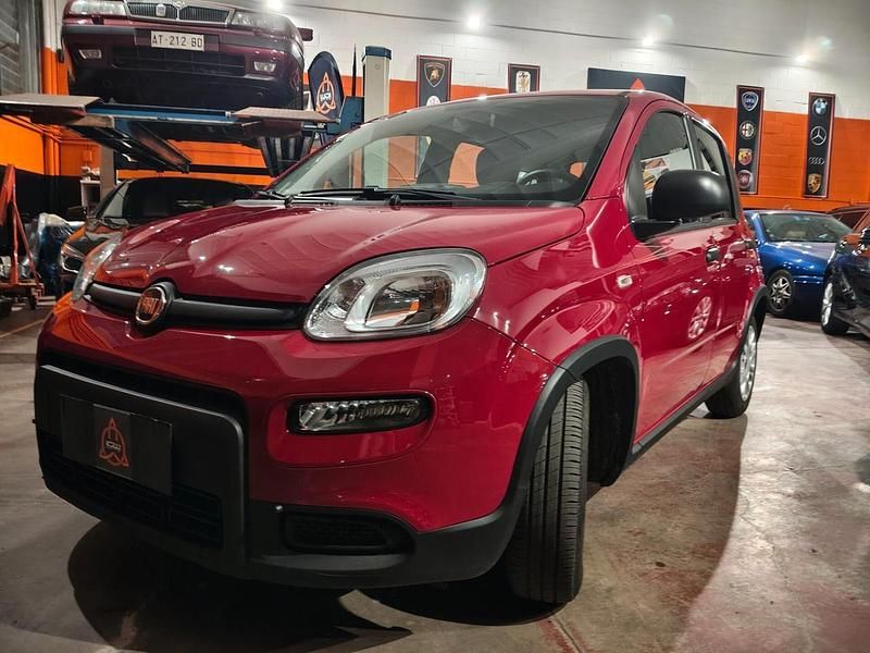 Usata Fiat Panda 71 CV (52 kW) 2024 Rosso Utilitaria