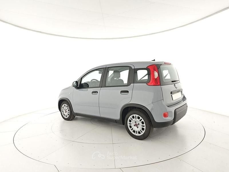 Usata Fiat Panda S 69 CV (50 kW) 2023 Grigio Utilitaria