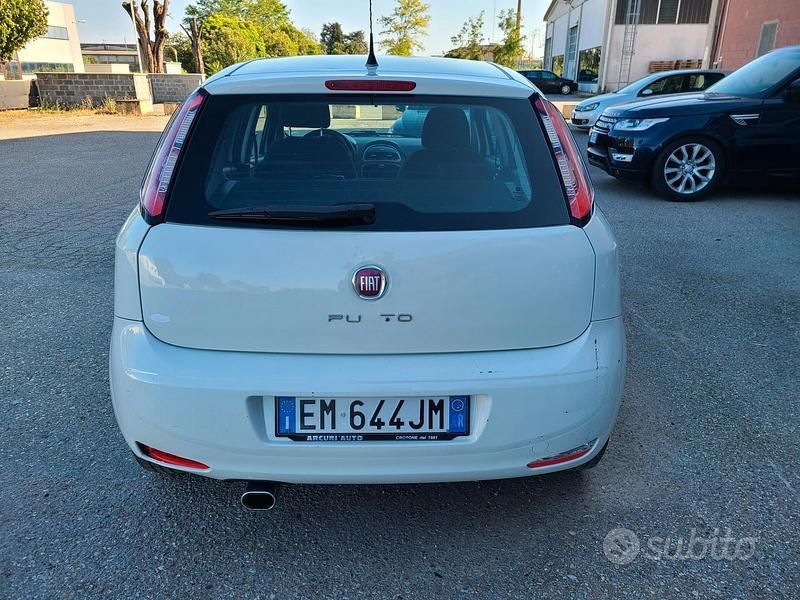 Usata Fiat Punto Evo 85 CV (62 kW) 2013 Bianco Utilitaria